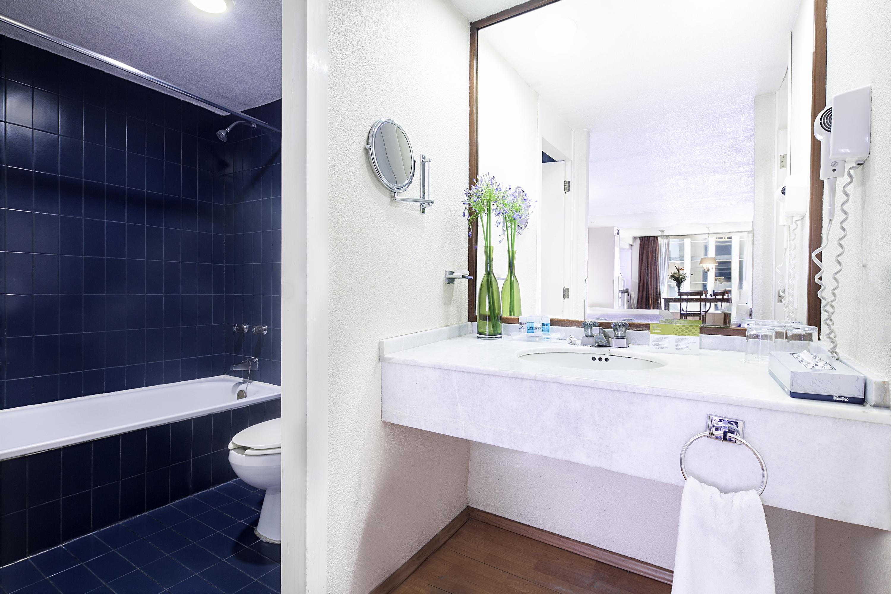 Exe Suites San Marino Mexico City Ngoại thất bức ảnh Bathroom